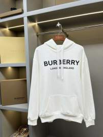 Picture of Burberry Hoodies _SKUBurberryS-2XLaztx85951832